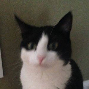 Meet your Posher, Ayesha